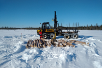Logging