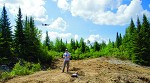 Drone view from above the tree line